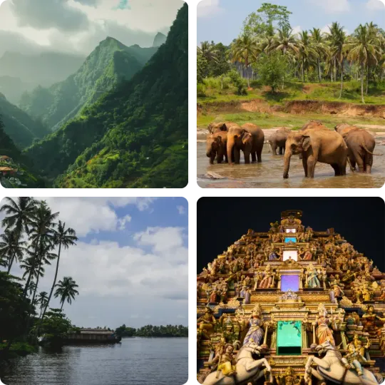 Travel Agent Association of Coimbatore